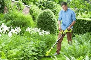 Ryobi Weed Eater